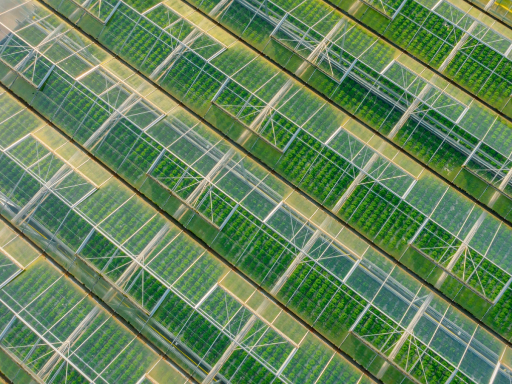 Solving Today's Problems, Creating the Winners of Tomorrow's Economy