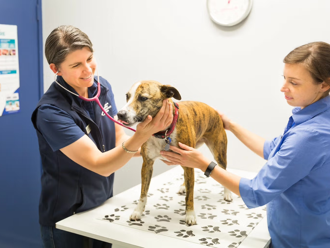 VetPartners