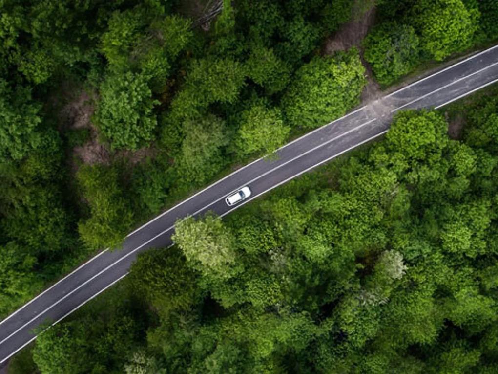 Aerial view of a car driving on a winding road through a dense green forest.