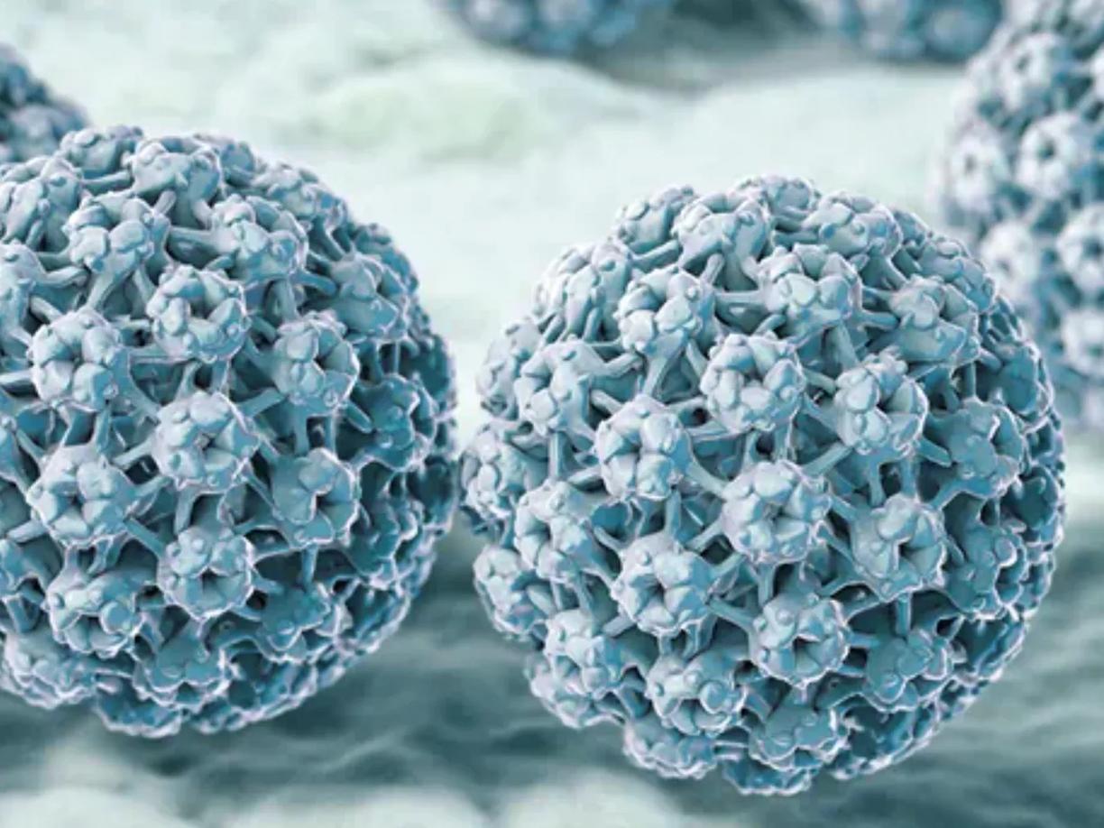 Aelin Therapeutics