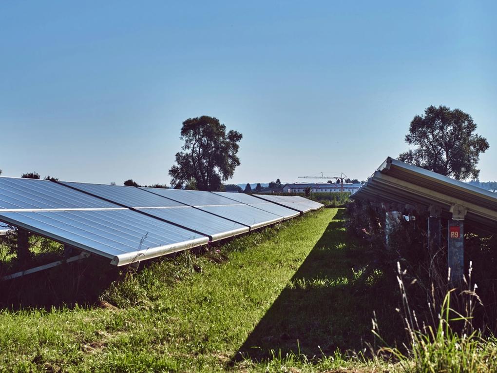 Doing Good Is Good Business