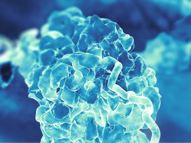 A close-up of a blue, abstract molecular structure with a textured, organic appearance.