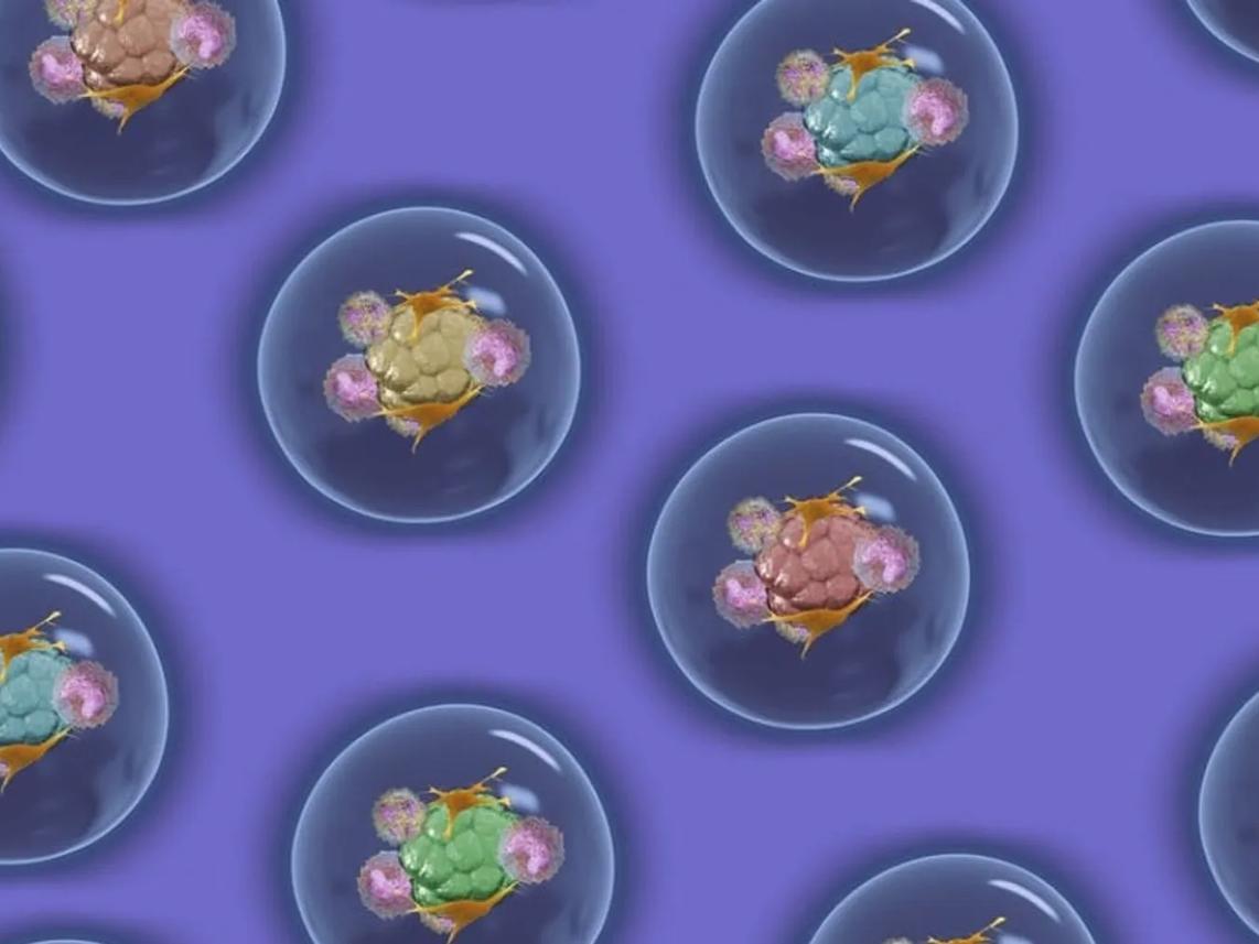 A pattern of transparent spheres containing colorful, textured clusters.