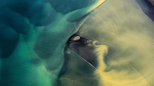 Aerial view of a river delta with swirling patterns of blue and yellow sediment in the water.