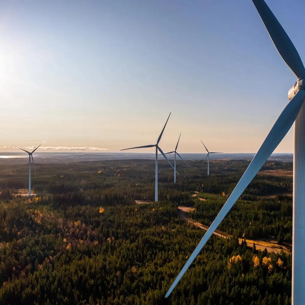 Aerial view of wind turbines scattered across a forested landscape, with the sun shining brightly in the sky.