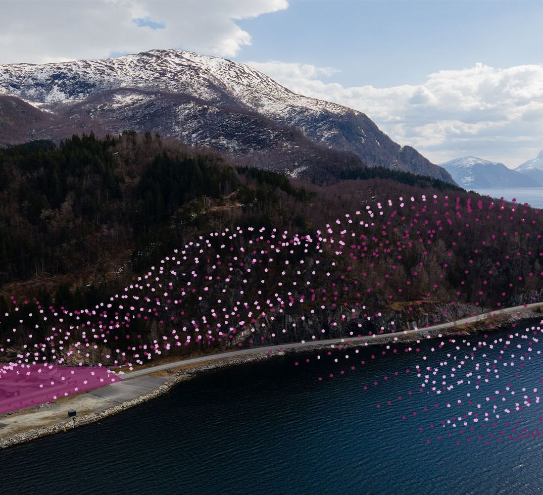 A fjord landscape with mountains and water, overlaid with pink and purple dotted patterns flowing across the hillside and shoreline.