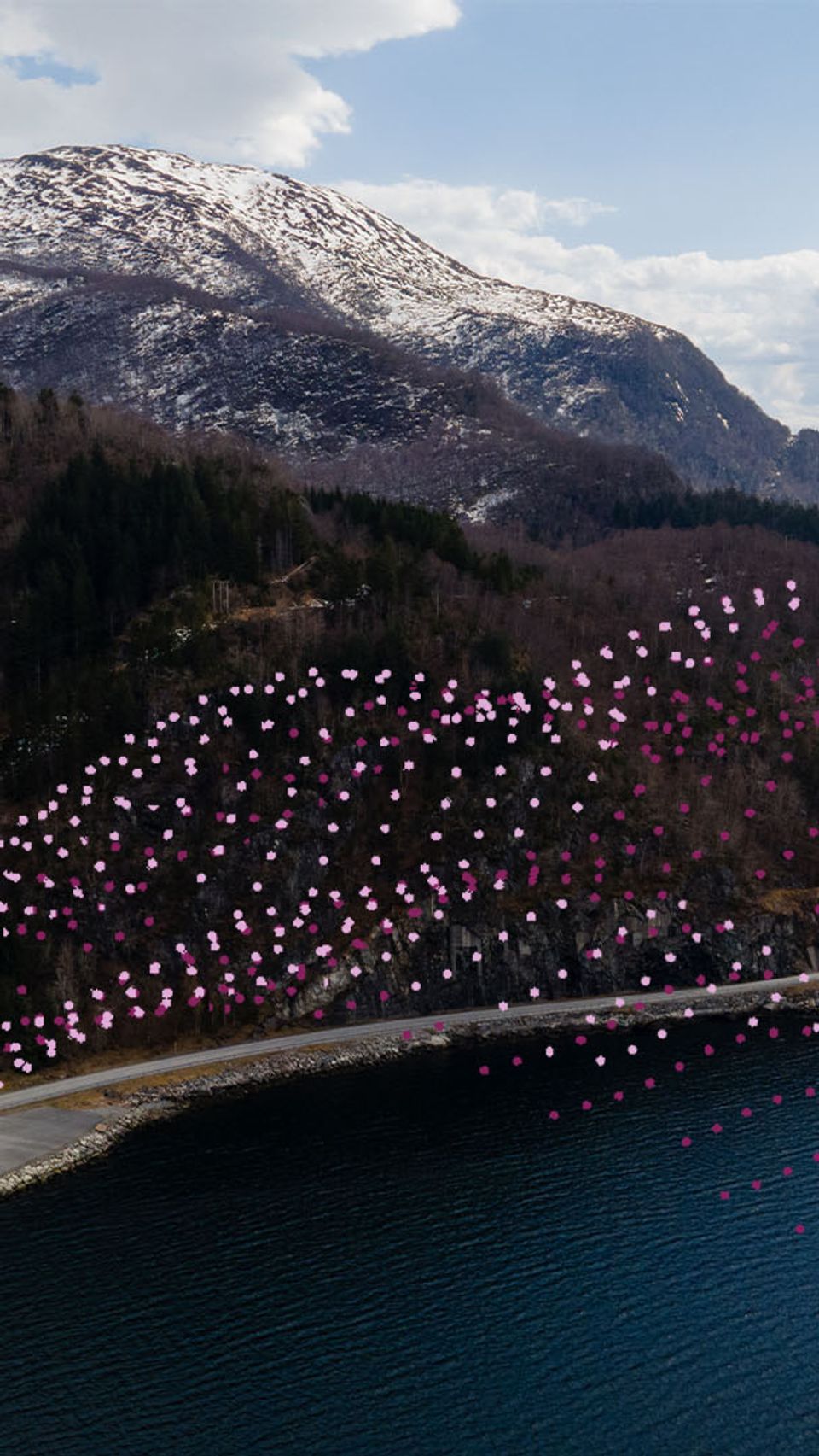 A fjord landscape with mountains and water, overlaid with pink and purple dotted patterns flowing across the hillside and shoreline.
