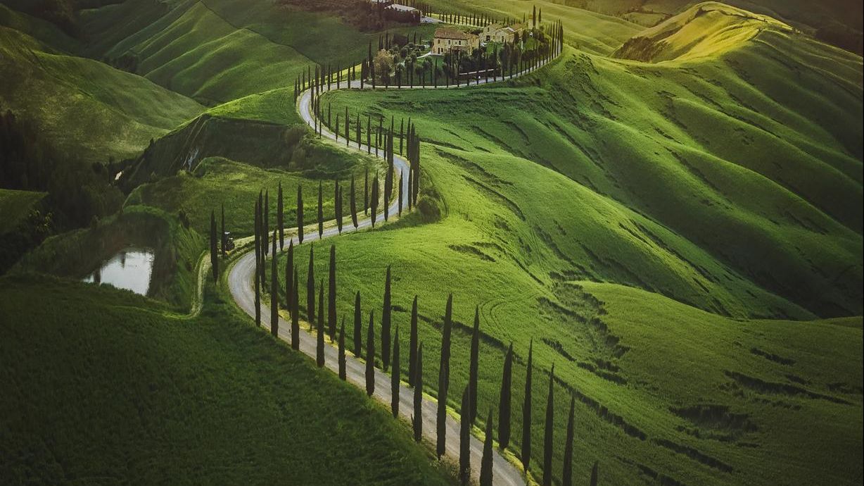 A winding road lined with tall cypress trees curves through rolling green hills at sunset, leading to a farmhouse in the distance.