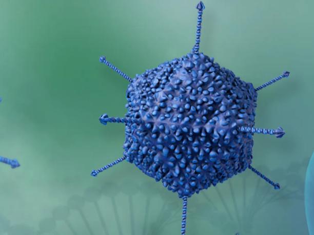A 3D rendering of a blue, spiky virus-like structure with protruding rods.