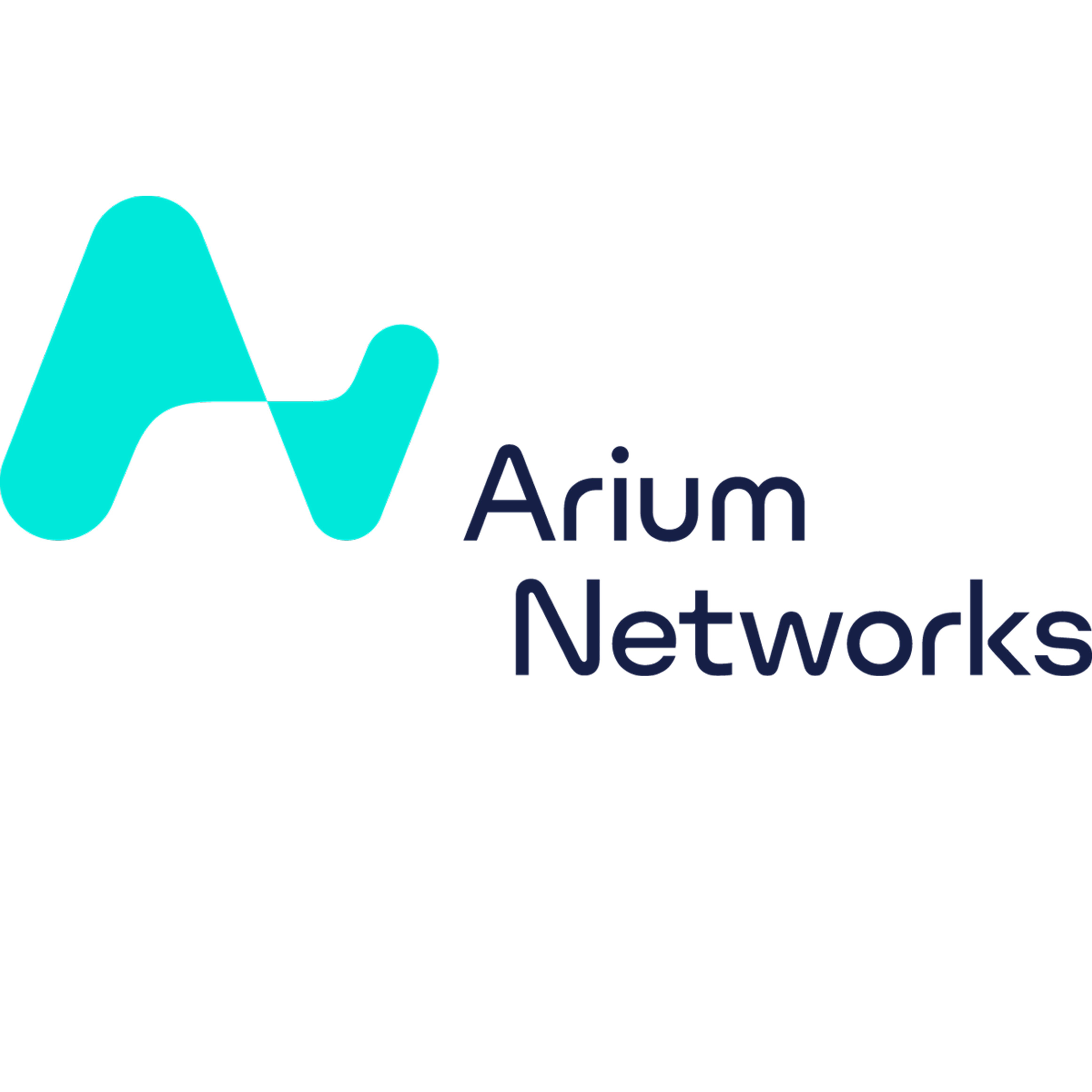 Arium Networks logo