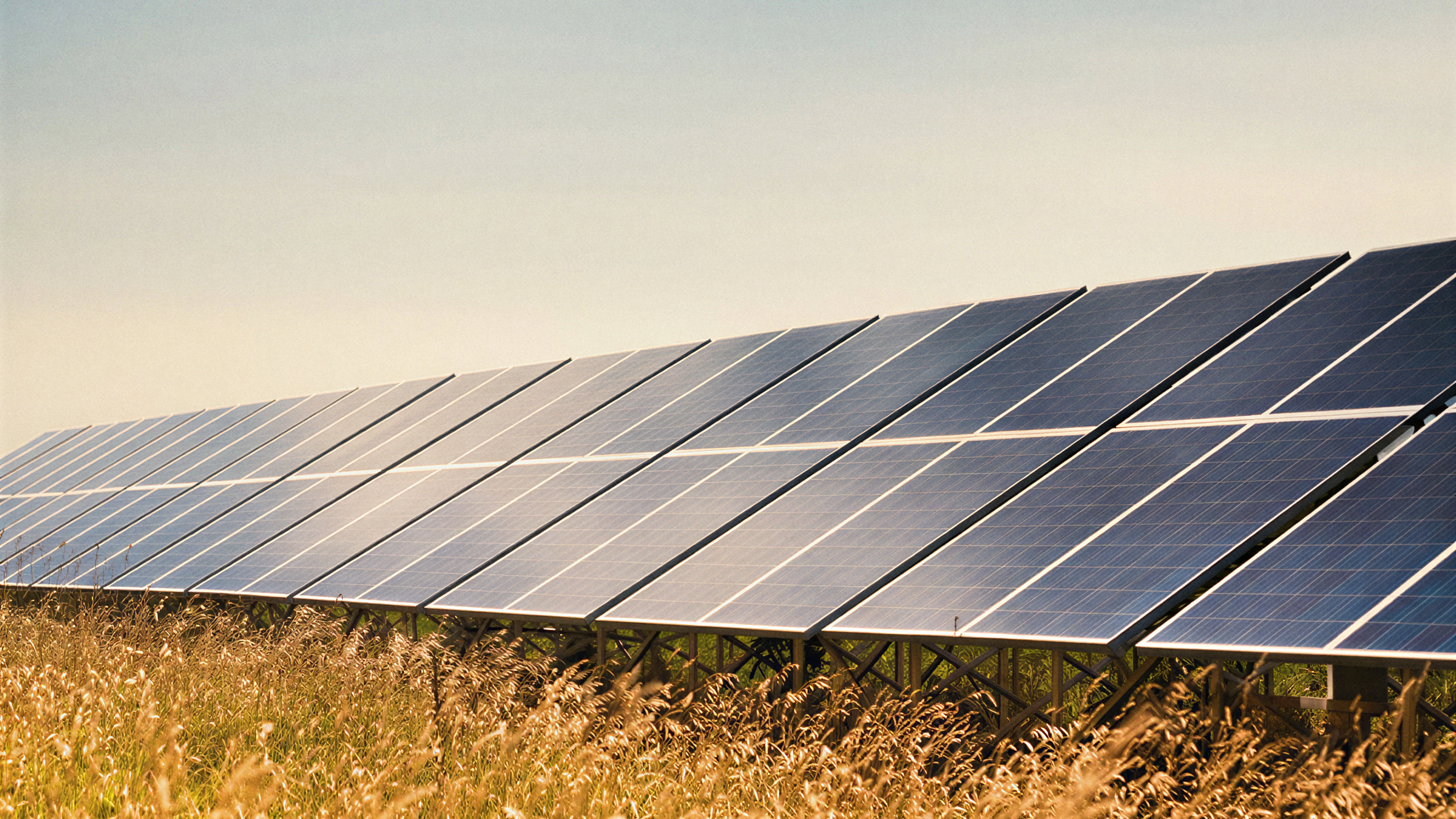 Solar panels on a grass field 