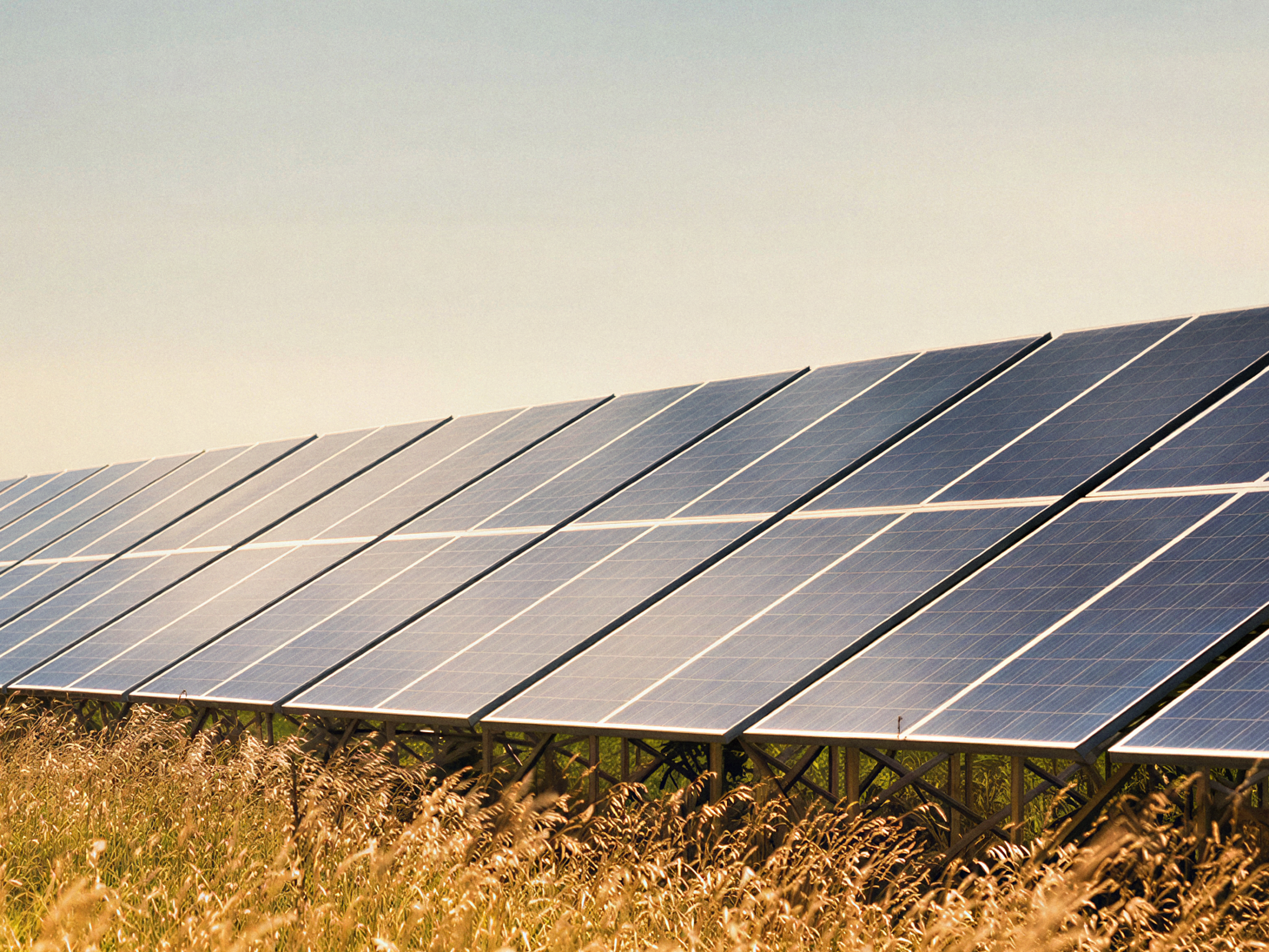 Solar panels on a grass field