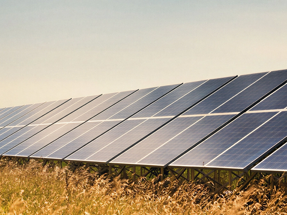 Solar panels on a grass field