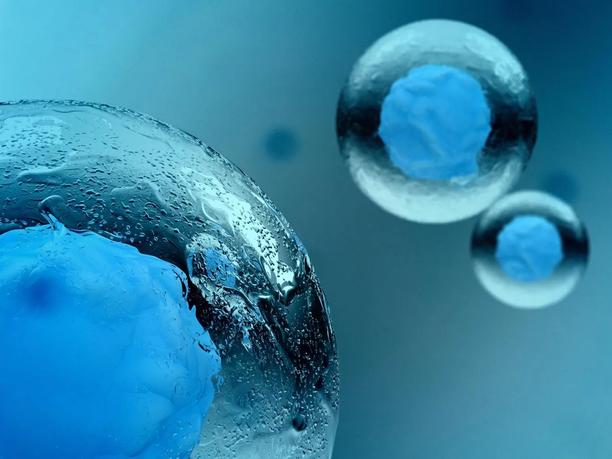 A close-up 3D rendering of blue cells with textured surfaces, floating in a light blue environment.