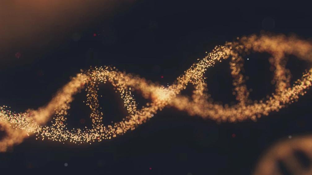 3d model of a DNA sequence.