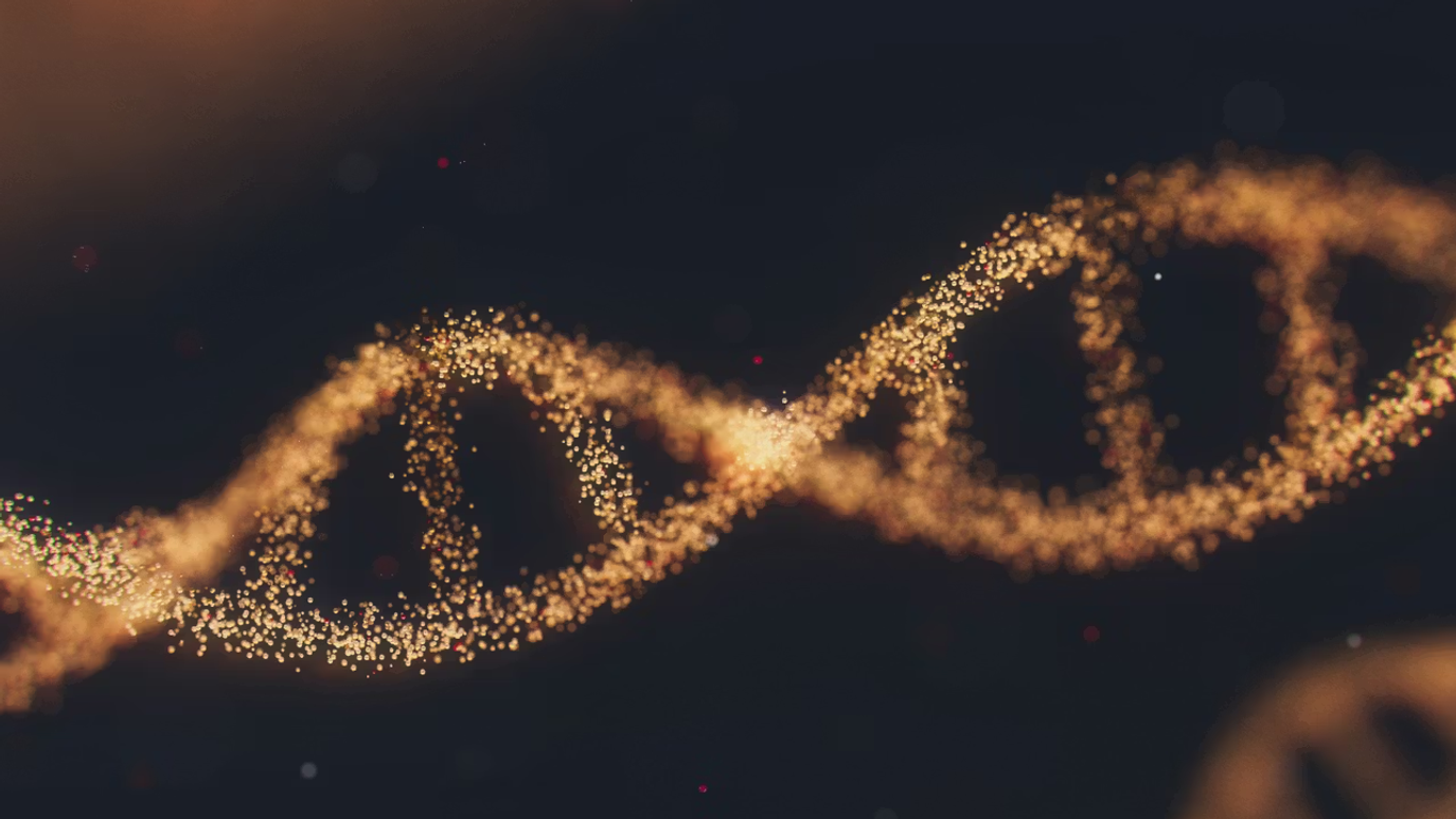3d model of a DNA sequence.