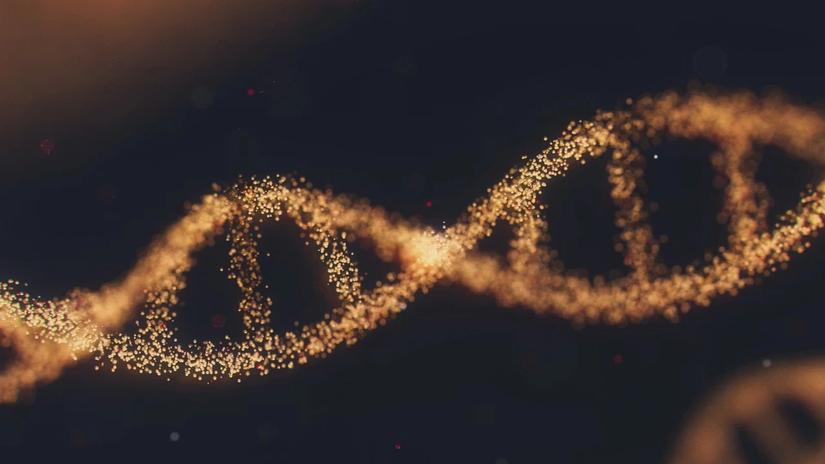 3d model of a DNA sequence.