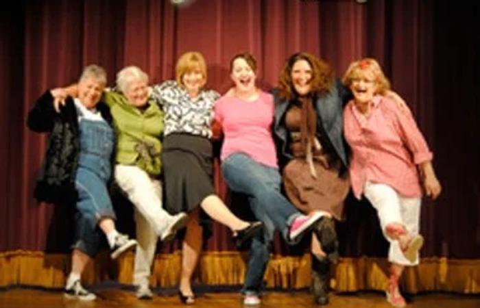 Poster for Steel Magnolias