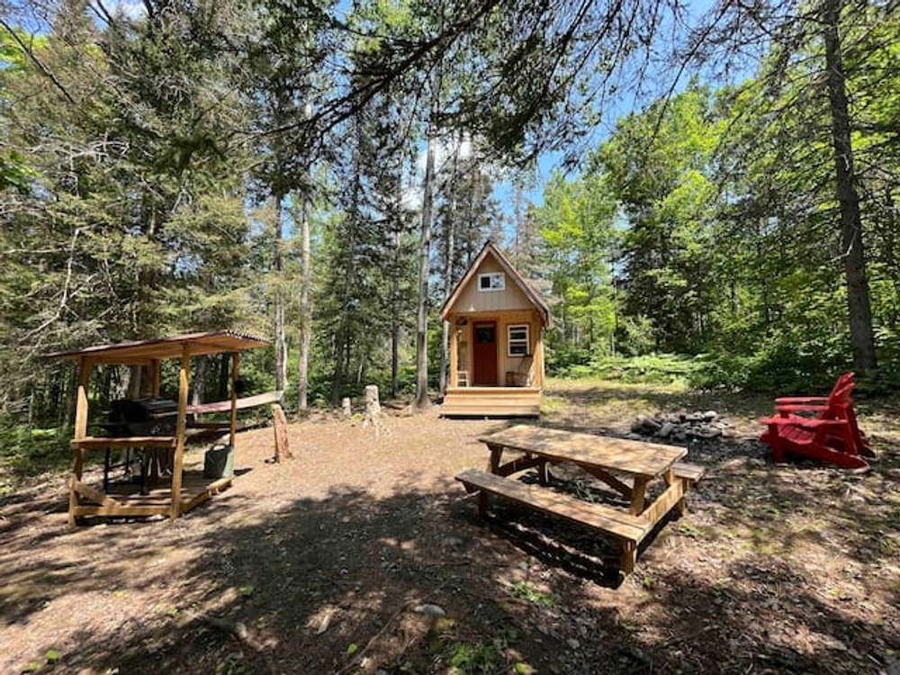 The Walden Cabin Site