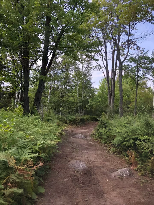 Summer trail