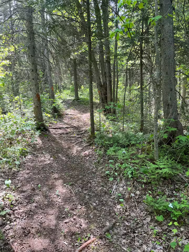 10 km of hiking trails