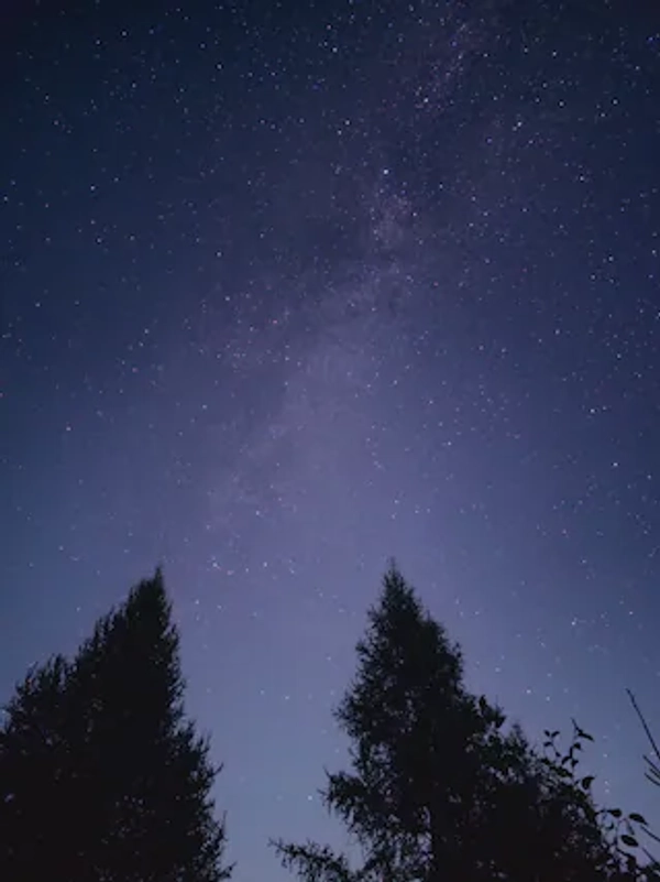 Dark Sky