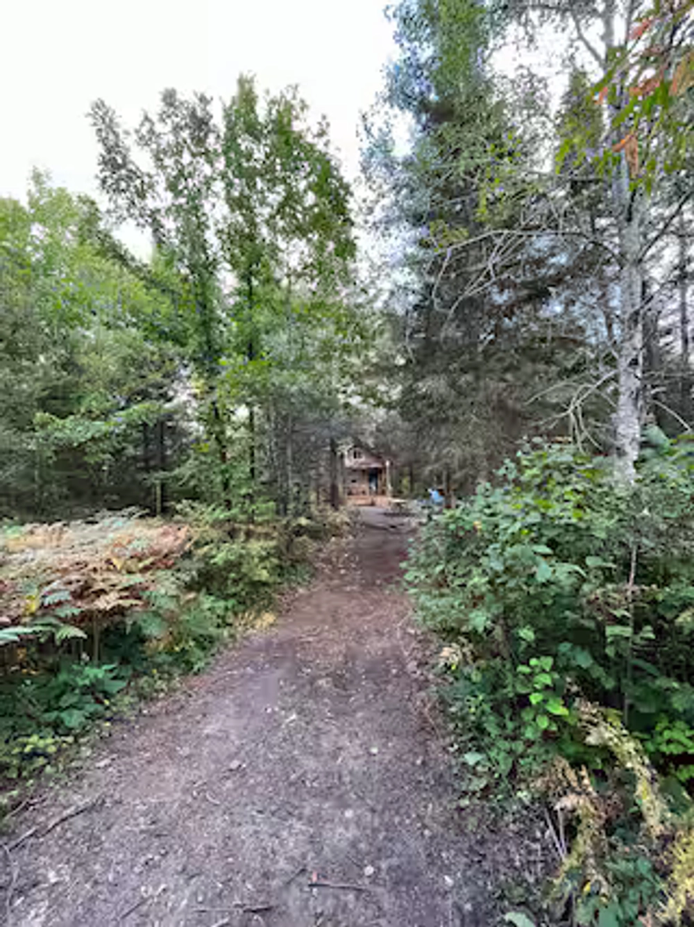 Path to cabin