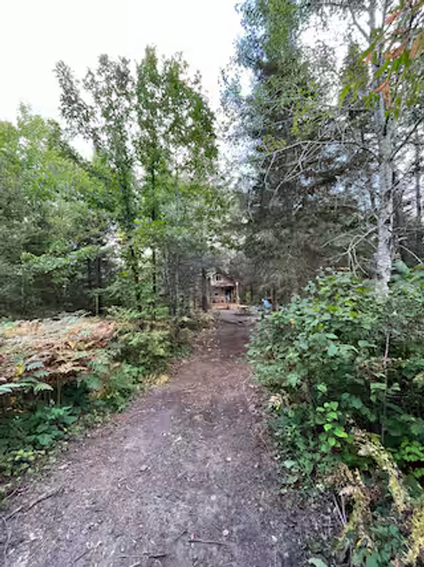 Path to cabin