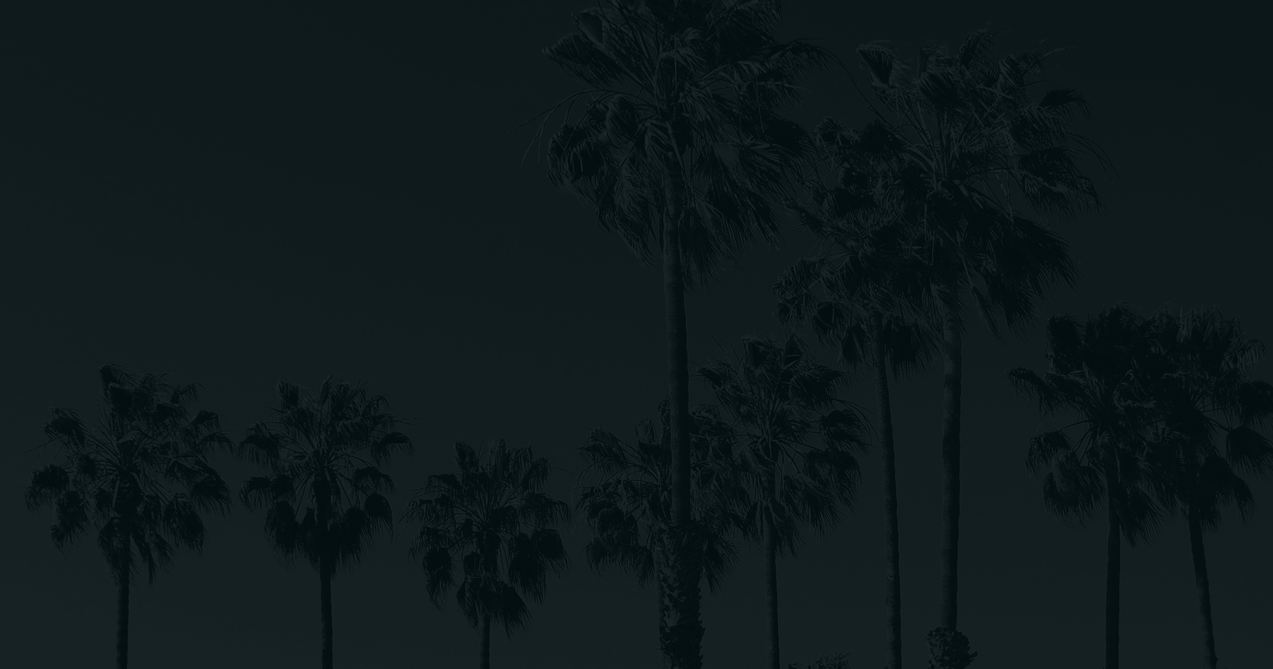 Palm Trees