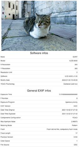 Bilde av katt med metadata.