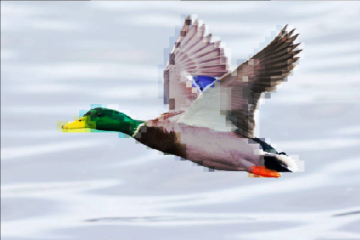 pixelated mallard