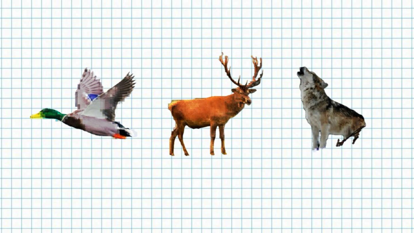 Digital Art Exercise #001