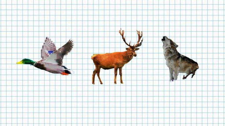 Digital Art Exercise #001