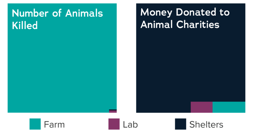 Spending of donations to animal charities in the US. Source