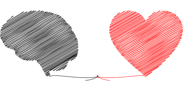Een abstracte afbeelding van en hart en hersenen die verbonden zitten aan een touwtje.