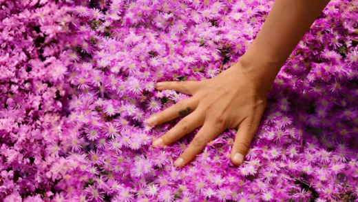 Hand in flowers spring