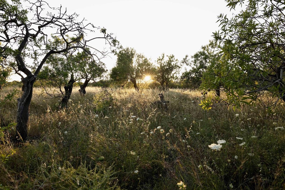 Riconnettetevi con la natura - header