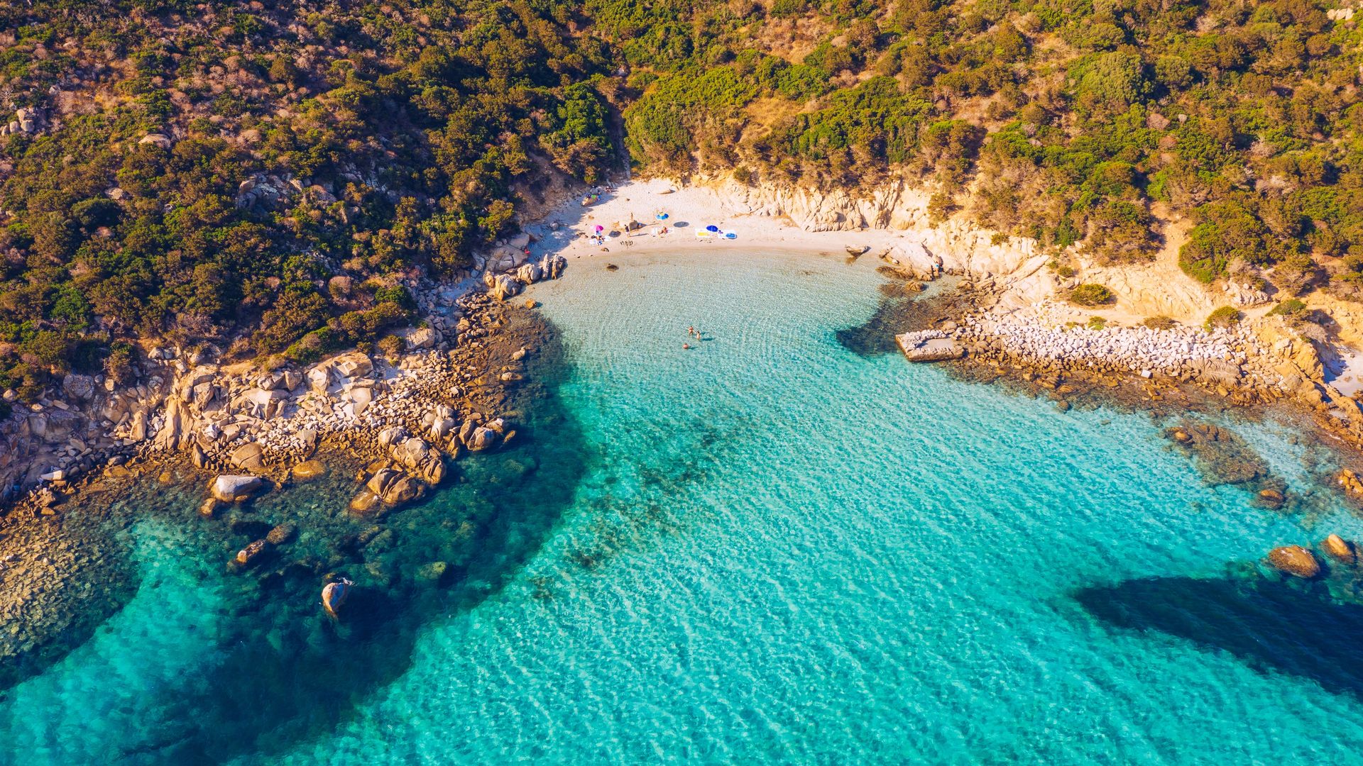 Summer Experience - header
