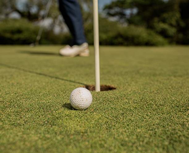 Played Golf