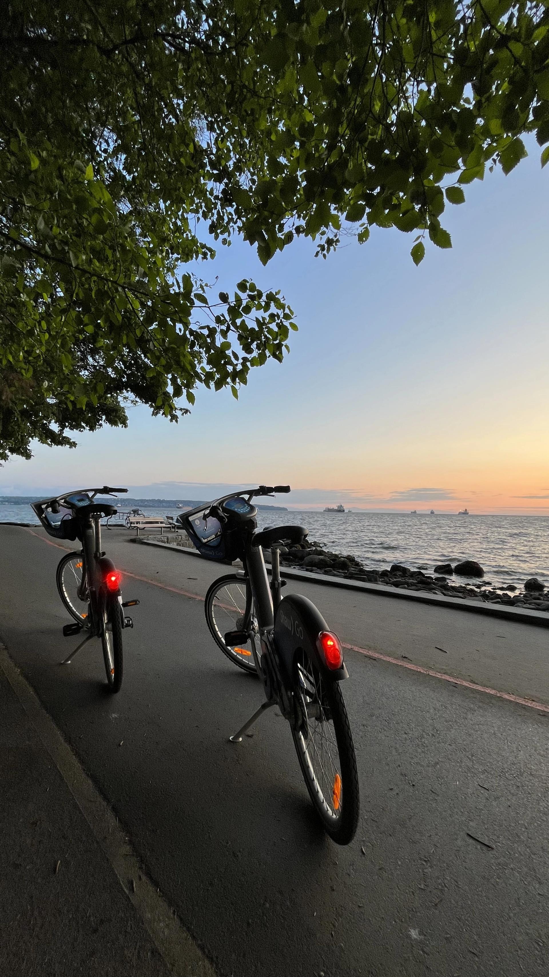 Seawall