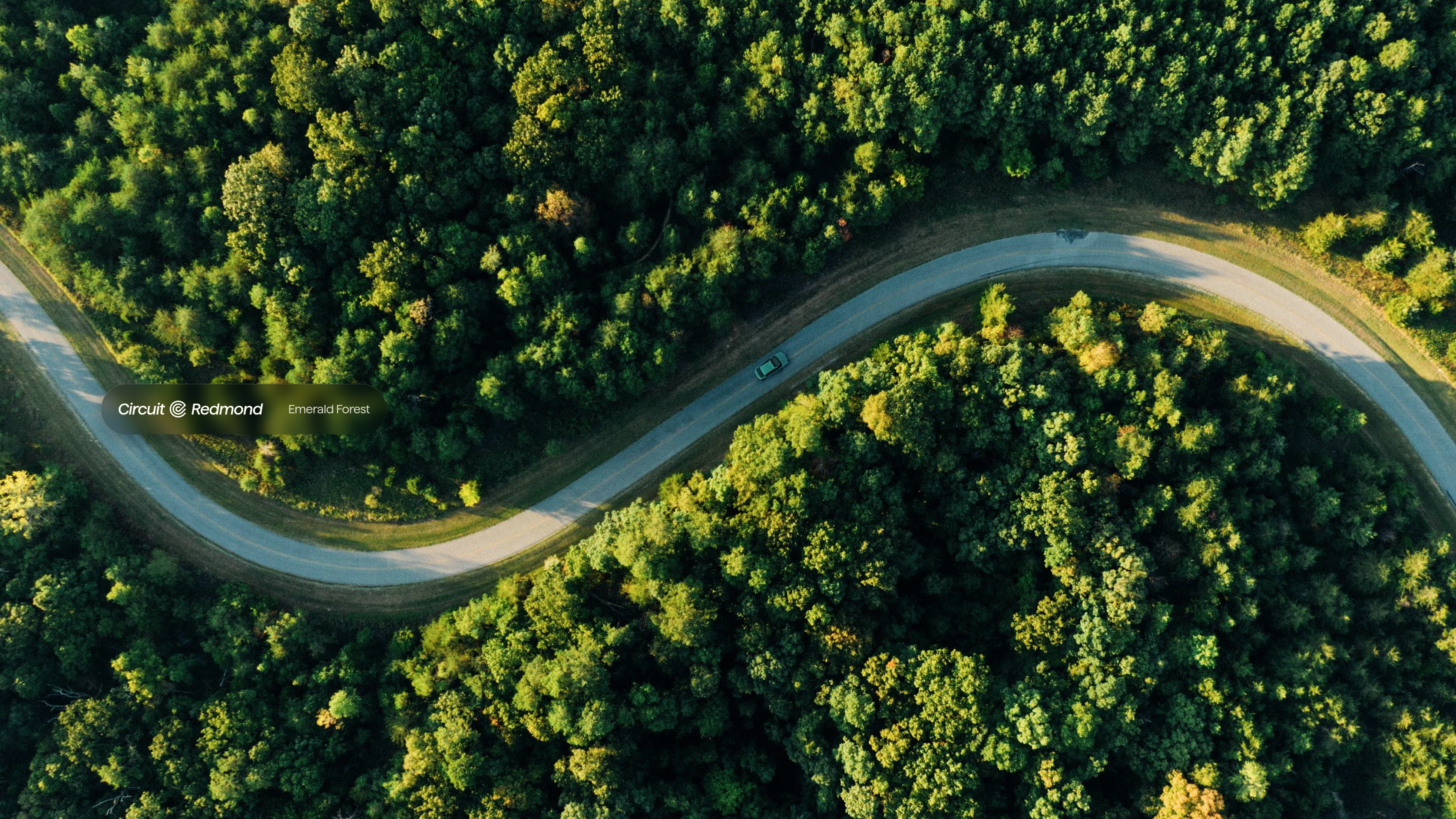 Circuit car, drone view, forest road