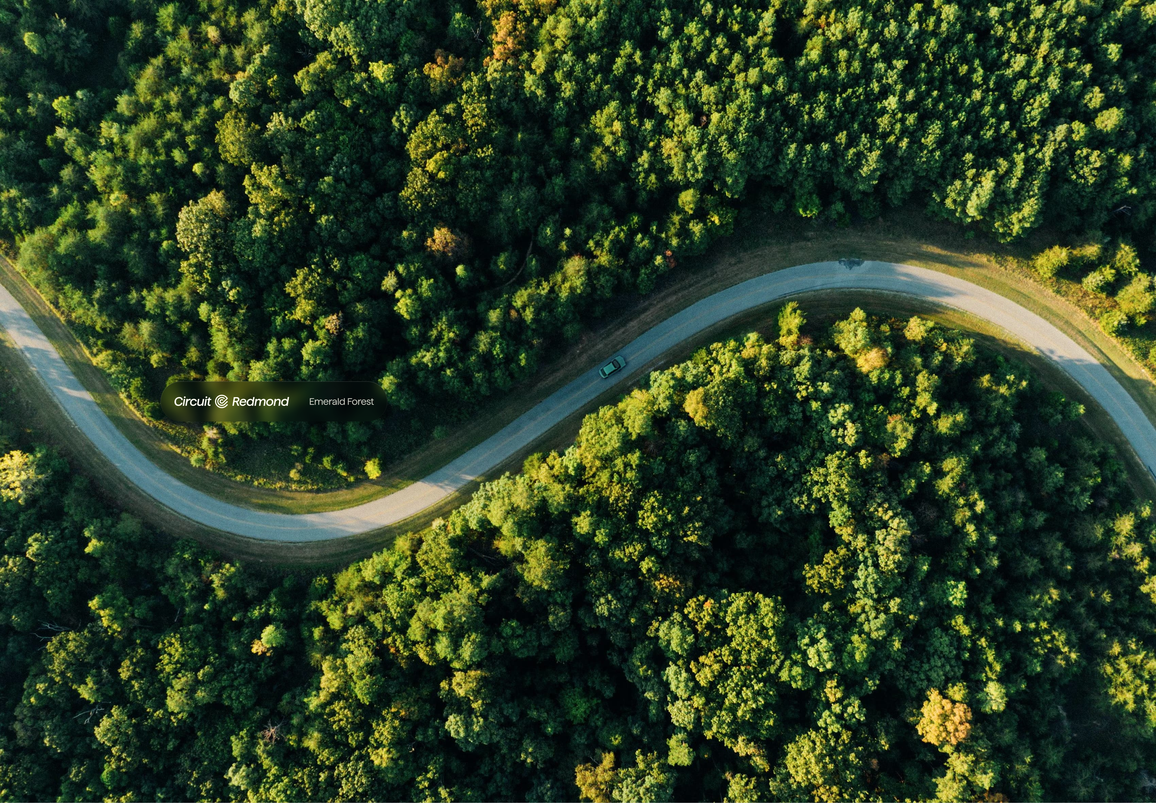 Circuit car, drone view, forest road