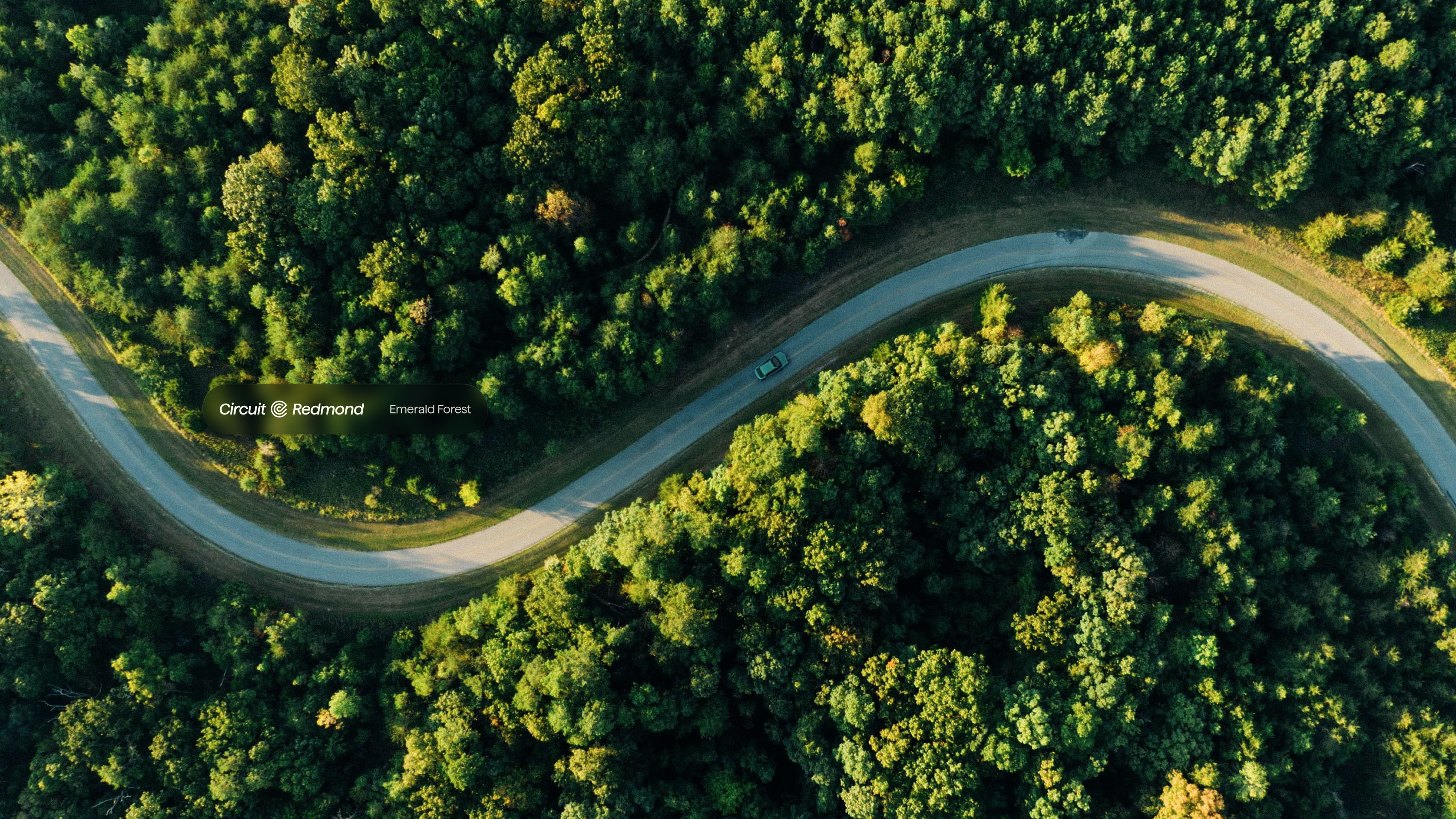 Circuit car, drone view, forest road
