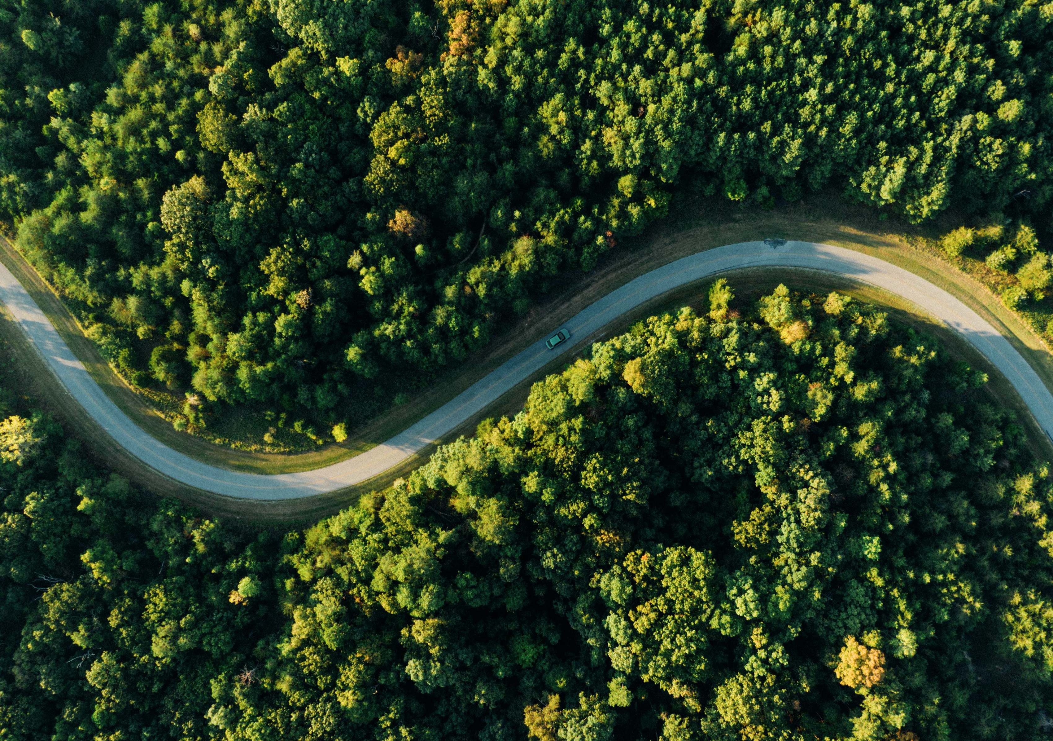 Circuit car, drone view, forest road