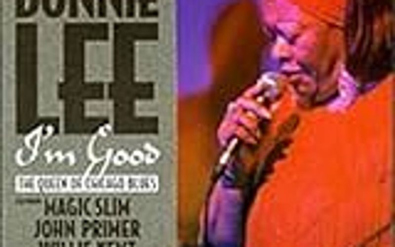 The Best Iams MiniChunks Adult Dry Dog Food We've Tested (And Why It's This One)