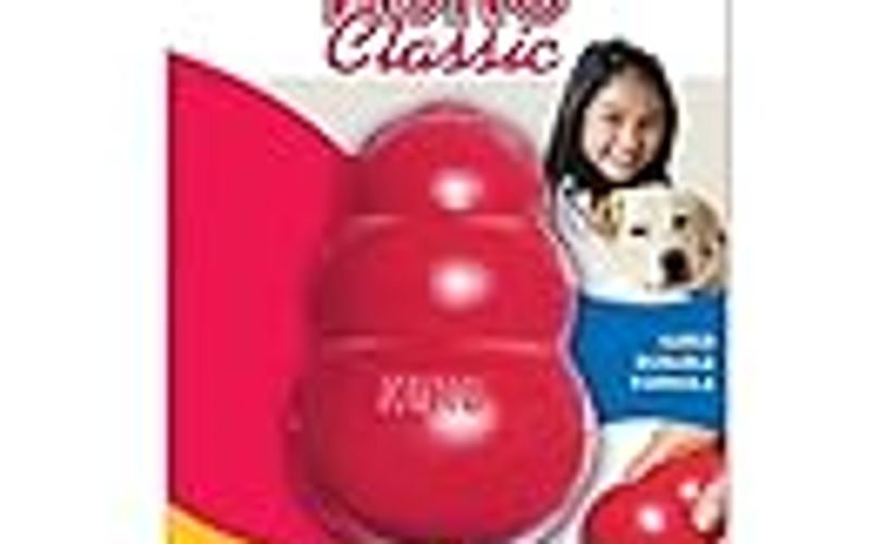 Should You Buy the KONG Classic Dog Chew Toy? The Honest Answer