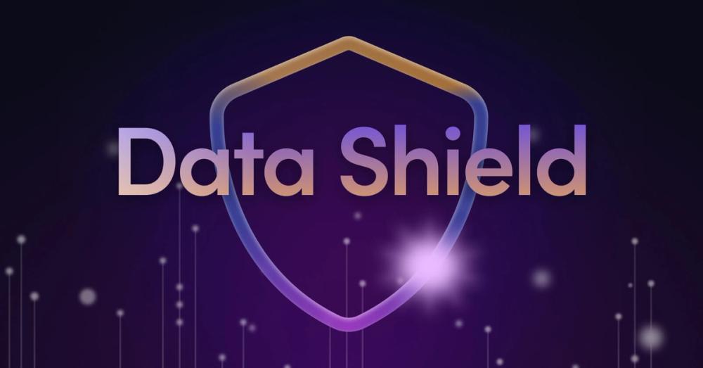 Permission-aware Answers: Keep Sensitive Information Secure With Data Shield