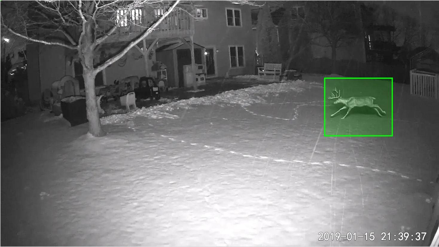 Output of an object detection model trained on synthetic data (1/2)