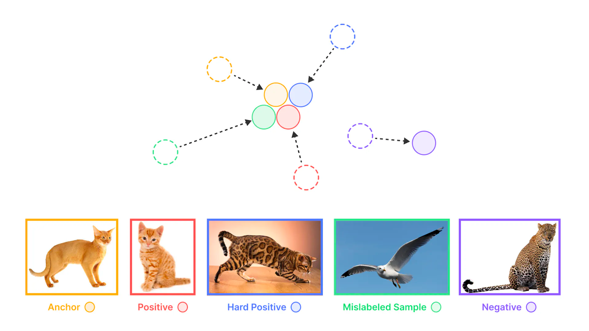 Transforming complex data for computer vision models.
