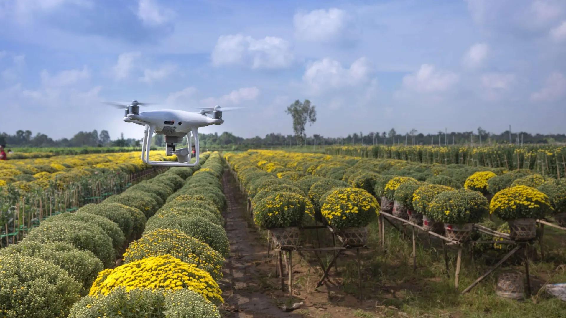 a-guide-to-sourcing-data-for-agtech-computer-vision